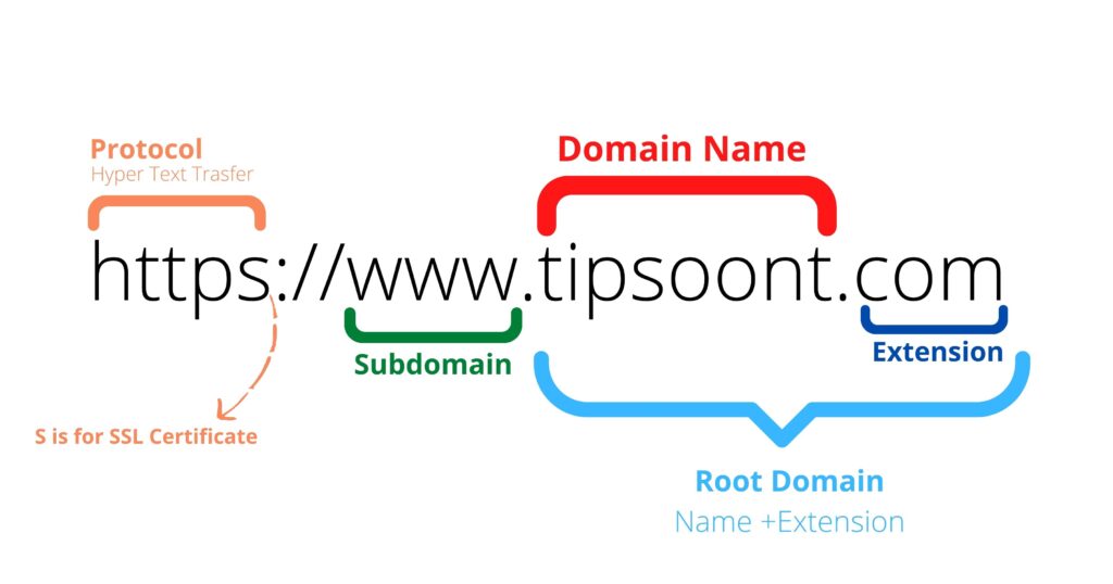 WordPress Website look Professional & Custom Domain and Hosting
