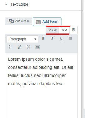 Text-Editor-in-Elementor