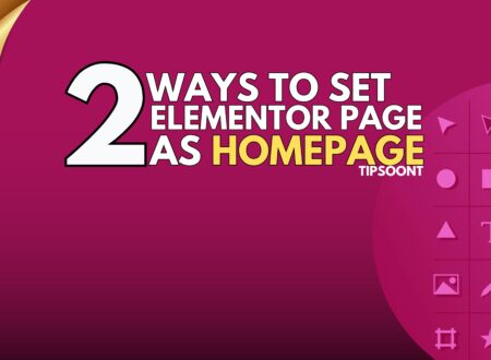 Set Up an customized page by Elementor as Your site Home page