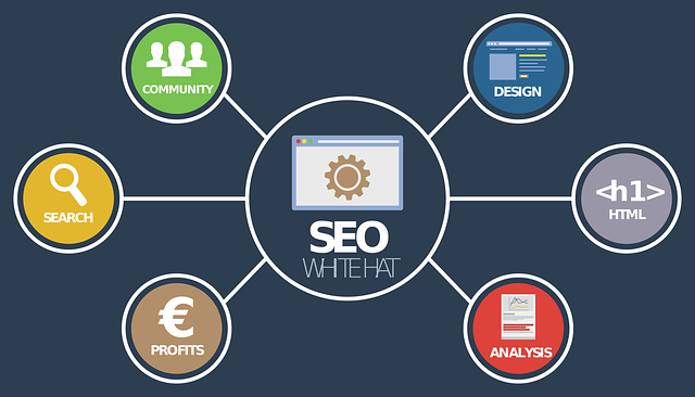 SEO Performance