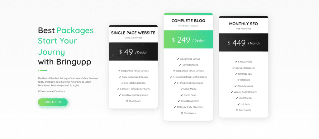 Example-of-adding-table-in-wordpress-using-pricing-Table-of-bringupp